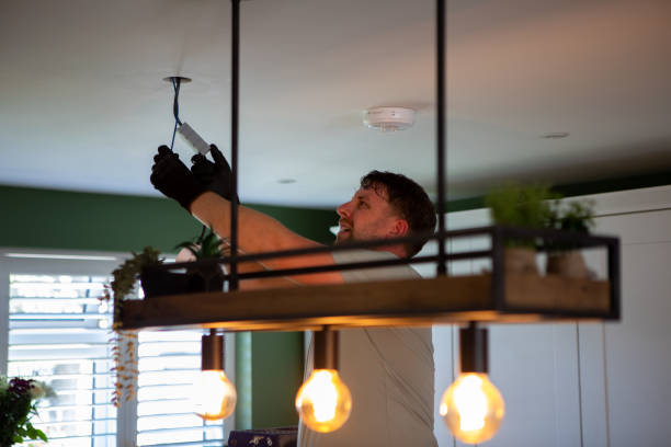 Best Electric Panel Repair  in Canyon, TX