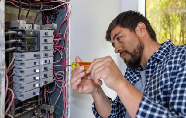 Best Electrical System Inspection  in Canyon, TX